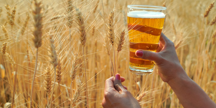 Verre de bière dans un champ de blé